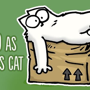 2020 Through The Eyes Of Simon's Cat