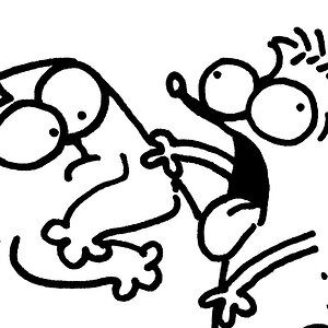 SCARY STORIES (Halloween Special)