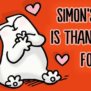 THINGS SIMON'S CAT IS THANKFUL FOR (Thanksgiving Collection)