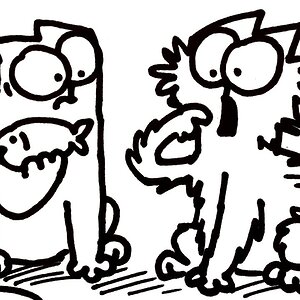 PAWS FOR THOUGHT (Thanksgiving Special)