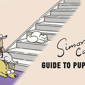 GUIDE TO PUPSITTING #SHORTS
