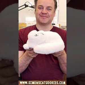 Simon's Cat - Pre Order Sleepy Bean in LINK IN DESCRIPTION