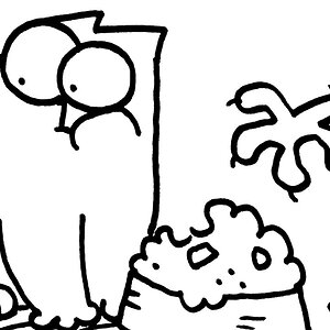 THE SHADOW (Teddy's Tale Pt.1)