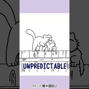 It’s the age of Aquarius ♒️