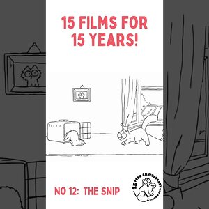 Snip snip ✂️ it's that time in a cat’s life.