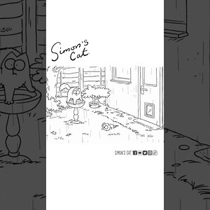 Splish Splash, I was taking a bath 🌧️