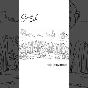 A day in the country 🥰🪰🐜🌿🌻