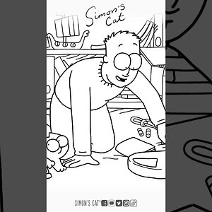 New Film Out Now - THE TRIP (Cat Sitting Pt. 1)