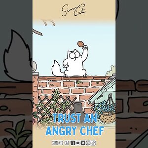 Only the best for your cats!