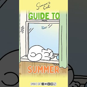 Sun’s Out Cats Out! ☀️😎