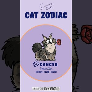 It’s #cancer season ♋️