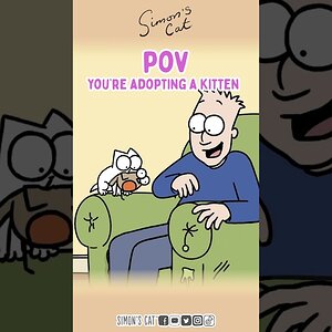 POV: Adopting a Kitten 🐱