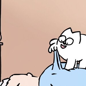 CAT MAN DO IN COLOUR