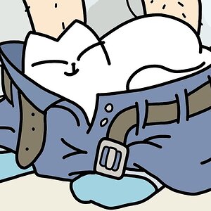 Simon's Cat's GUIDE TO EVERYTHING