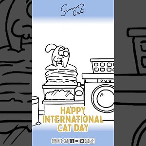 Happy International Cat Day 🥹😺