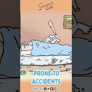 How to spot a Cat Owner! 🤔😺