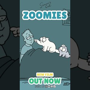 New Film! It’s the 4AM Zoomies.