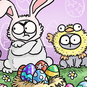 Easter Eggstravaganza - Caturday Film Club