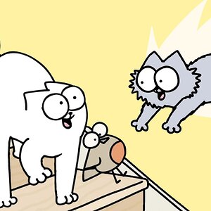 CAT OWNERS WILL GET THIS....