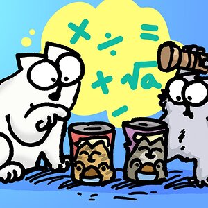 UNDERSTANDING CAT MATH - Caturday Film Club