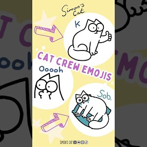 Join our Cat Crew!