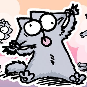 Get To Know The Kitten - Caturday in Colour!