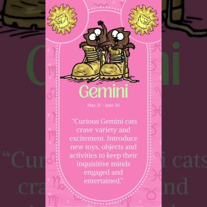 Itâs Gemini âï¸ season!