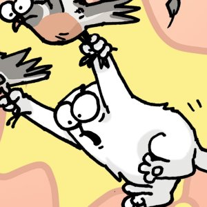 Fight or Flight - Caturday Film Club