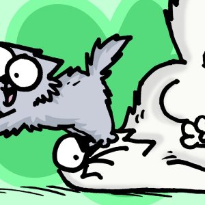 Best of Cat & Kitten - Caturday Film Club