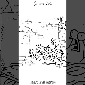 NEW FILM - FLYING THE NEST [KITTEN QUEST PT.1]