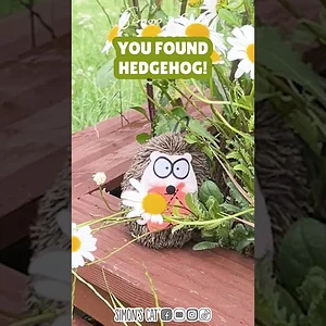 Can you spot the creatures?! 🐈😻🦔