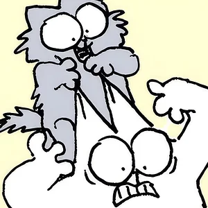 Crazy Cats!