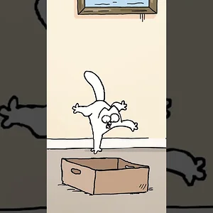 Why is the Cat so OBSESSED with this box?