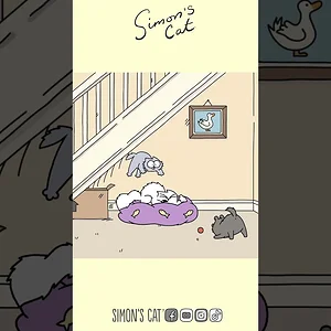 Making A New Friend