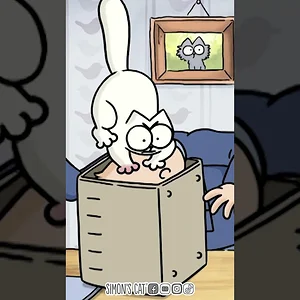 GET IN THE BOX