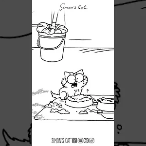 MESSY CATS MESSY HOME