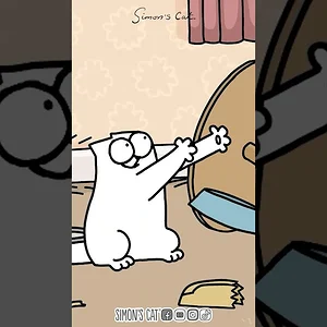 HANGRY CAT
