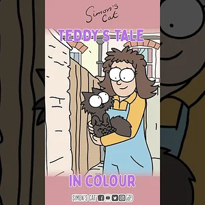 FOR THE LOVE OF A BLACK CAT