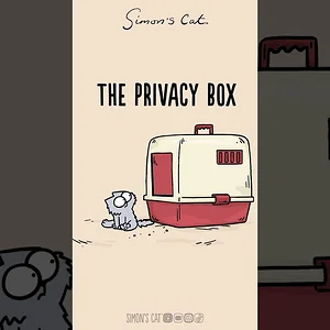 I LOVE A GOOD BOX